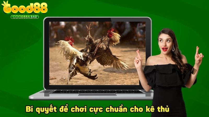 Bí quyết để chơi cực chuẩn cho kê thủ