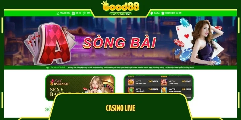 Casino Live