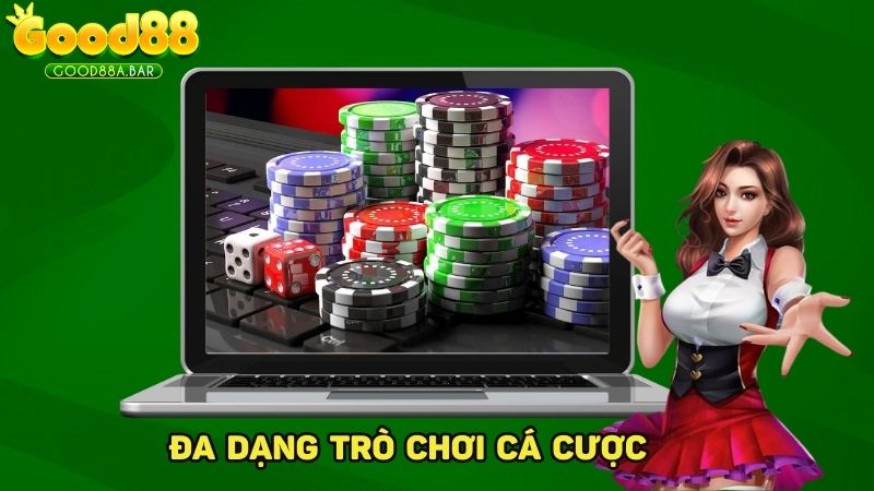 Sản phẩm cá cược đa dạng và đem lại cảm giác chân thực