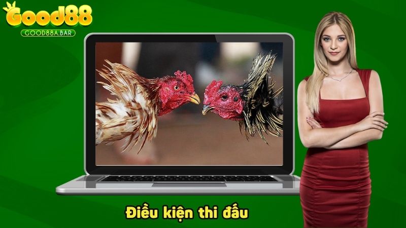 Điều kiện bên ngoài ảnh hưởng trực tiếp đến hiệu suất thi đấu