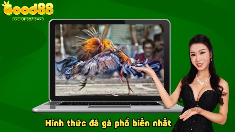 Hình thức đá gà phổ biến nhất lúc này