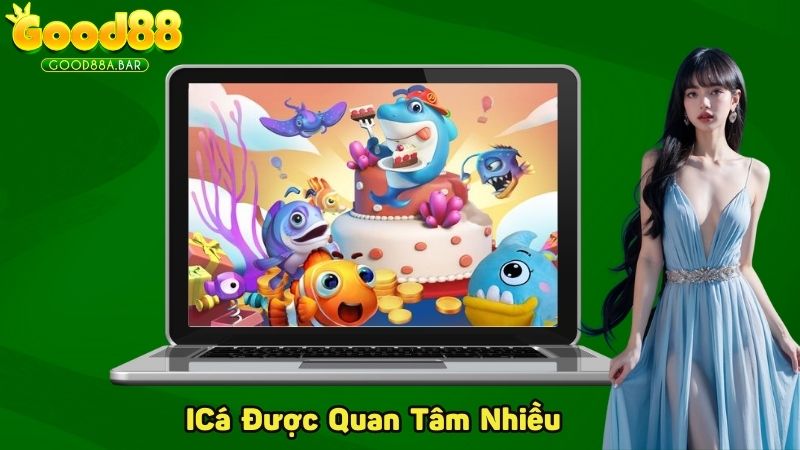 ICá được khá nhiều ngư thủ quan tâm