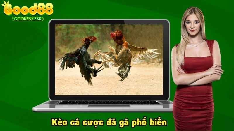 Kèo cá cược đá gà phổ biến tại hệ thống nhà cái