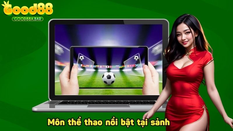 Những môn thể thao nổi bật tại Sbobet